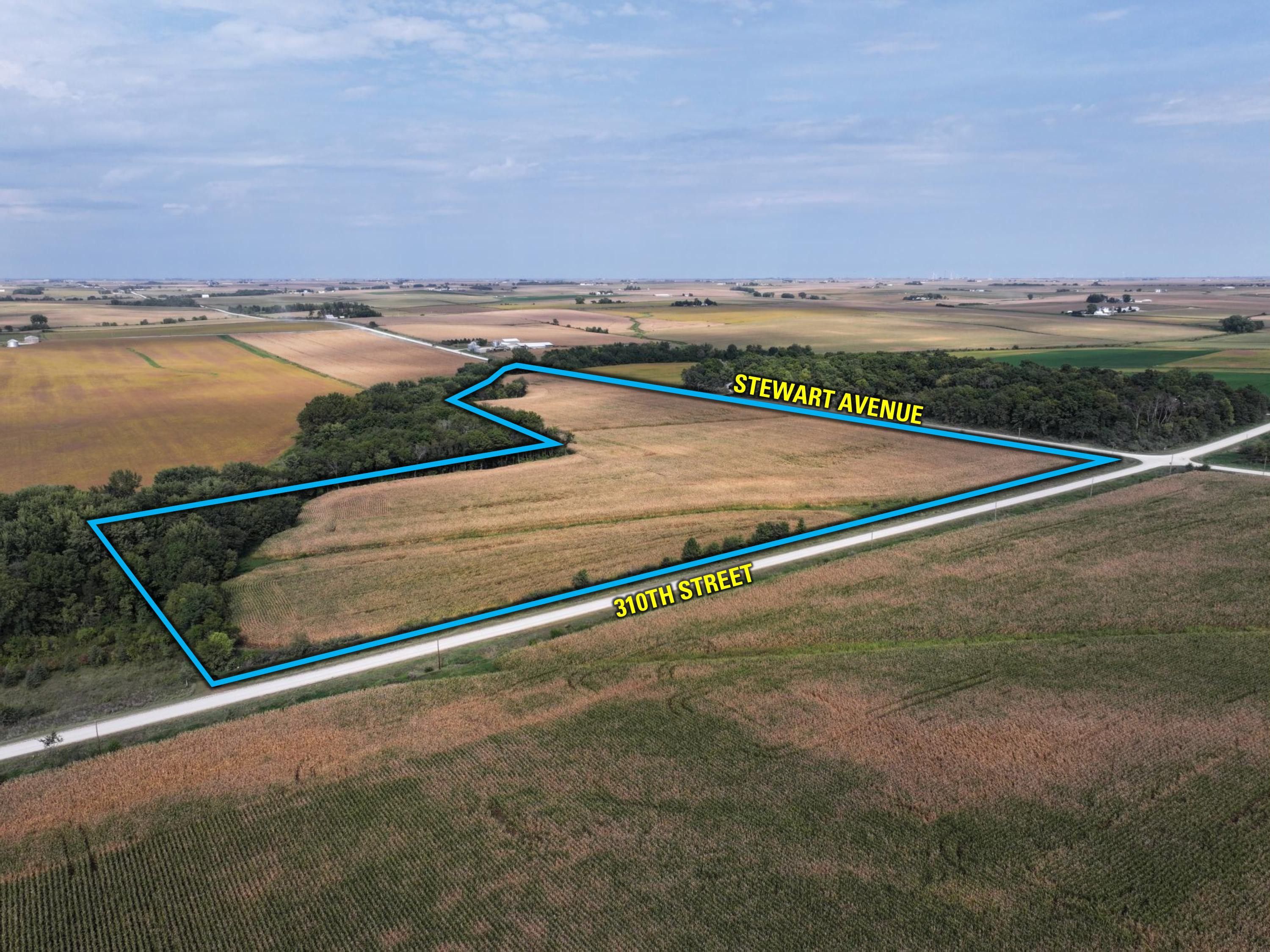 Listing #18615